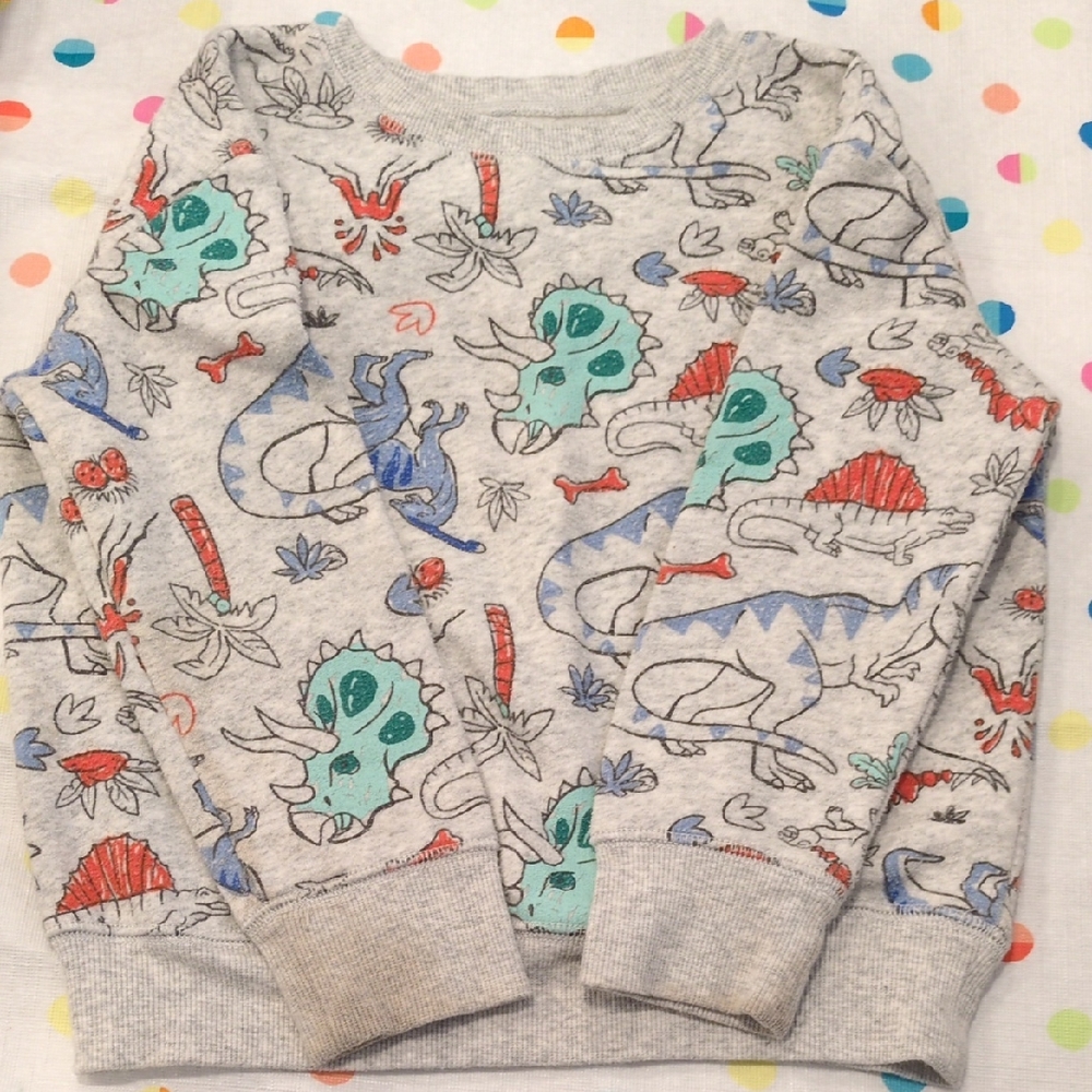 Jumping Beans Dino Sweater